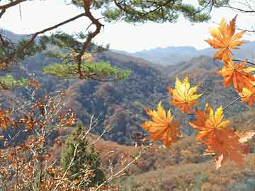 追寻孙中山精神，照亮前行之路，追寻孙中山精神，照亮前行之路