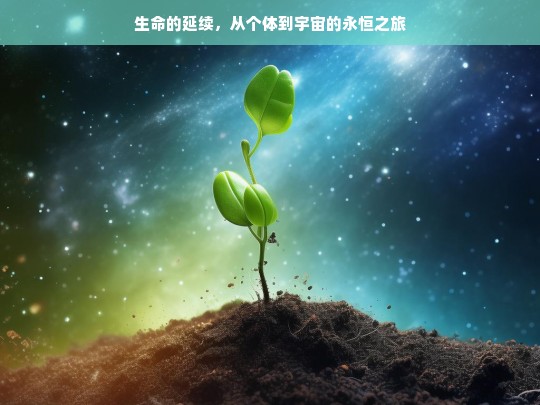 生命的延续，从个体到宇宙的永恒之旅