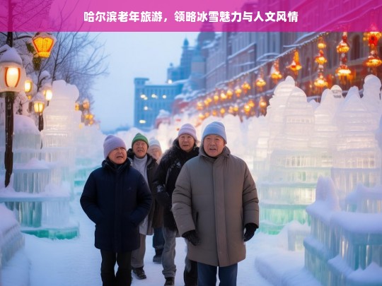 哈尔滨老年旅游，领略冰雪魅力与人文风情，哈尔滨老年旅游，冰雪魅力与人文风情之旅