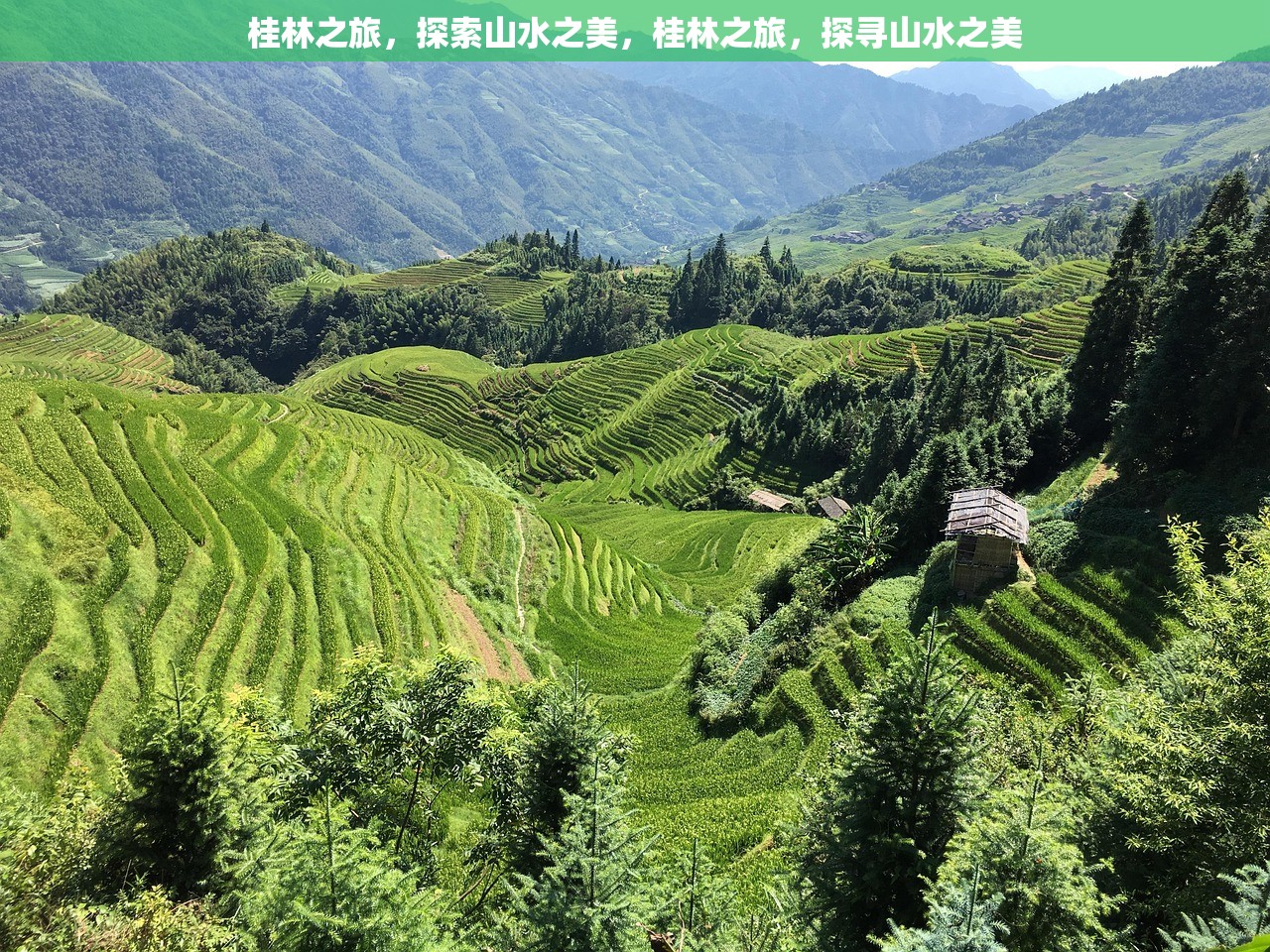 桂林之旅，探索山水之美，桂林之旅，探寻山水之美