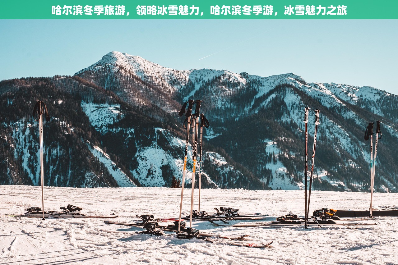 哈尔滨冬季旅游，领略冰雪魅力，哈尔滨冬季游，冰雪魅力之旅