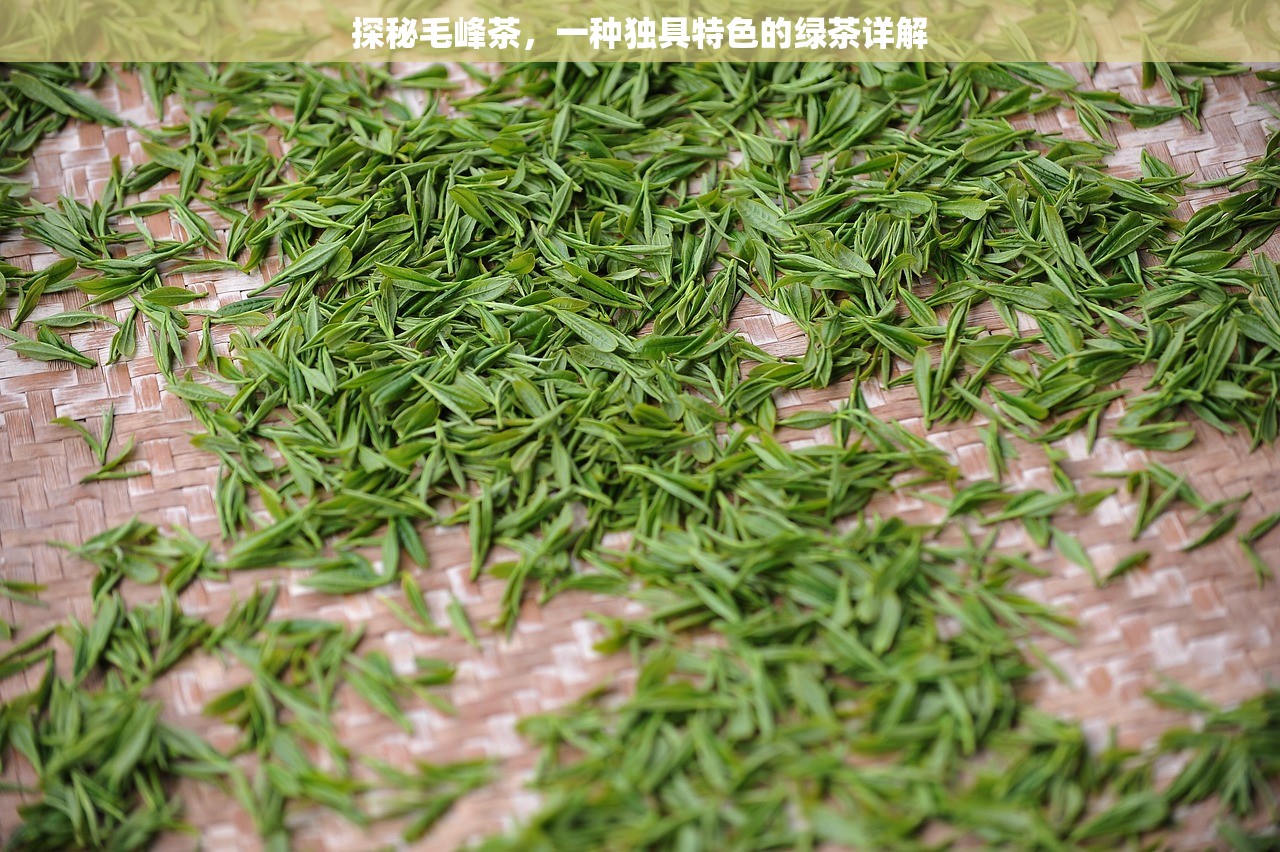 探秘毛峰茶，一种独具特色的绿茶详解