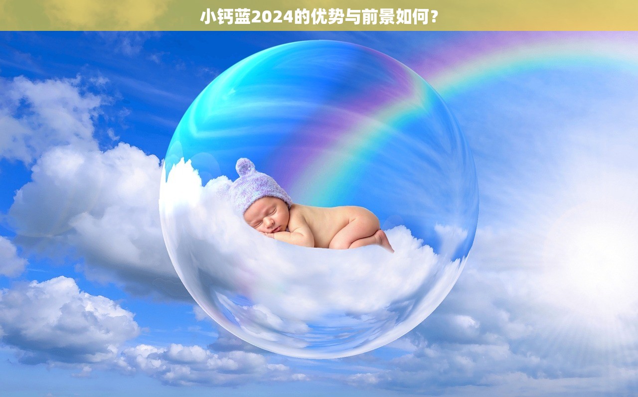 小钙蓝2024的优势与前景如何？