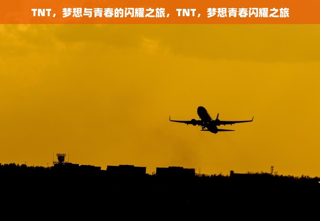 TNT，梦想与青春的闪耀之旅，TNT，梦想青春闪耀之旅