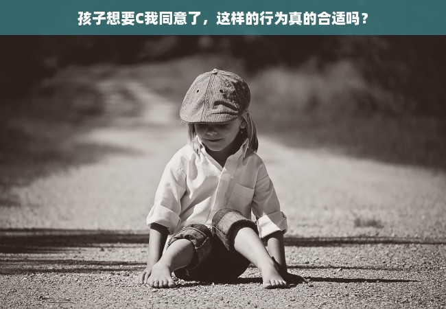 孩子想要C我同意了，这样的行为真的合适吗？