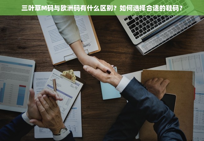 三叶草M码与欧洲码有什么区别？如何选择合适的鞋码？