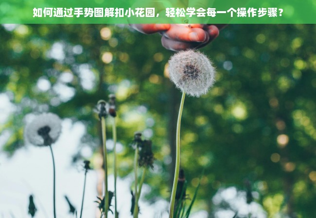 如何通过手势图解扣小花园，轻松学会每一个操作步骤？