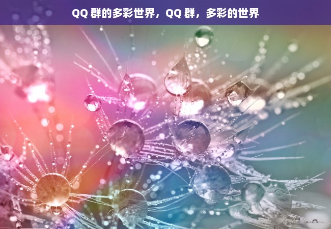 QQ 群的多彩世界，QQ 群，多彩的世界