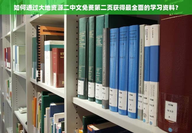 如何通过大地资源二中文免费第二页获得最全面的学习资料？