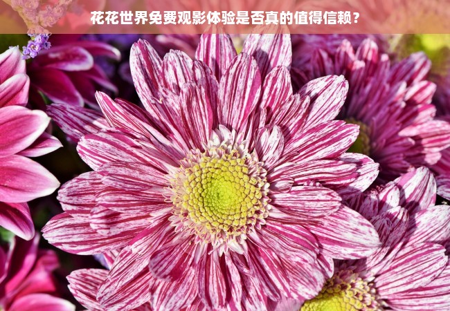 花花世界免费观影体验是否真的值得信赖？