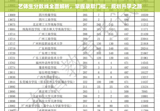 艺体生分数线全面解析，掌握录取门槛，规划升学之路