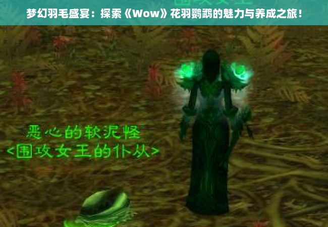 梦幻羽毛盛宴：探索《Wow》花羽鹦鹉的魅力与养成之旅！