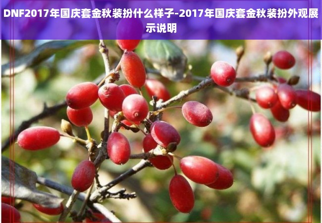 DNF2017年国庆套金秋装扮什么样子-2017年国庆套金秋装扮外观展示说明