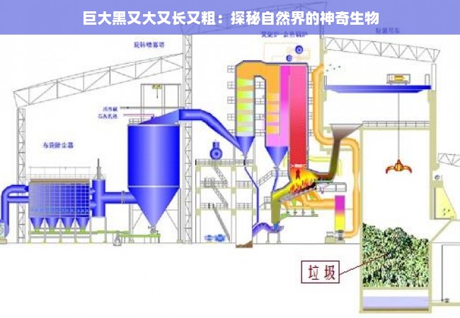 巨大黑又大又长又粗：探秘自然界的神奇生物