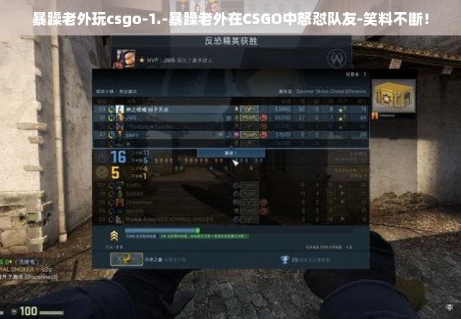 暴躁老外玩csgo-1.-暴躁老外在CSGO中怒怼队友-笑料不断！