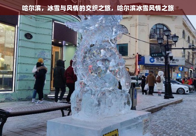 哈尔滨，冰雪与风情的交织之旅，哈尔滨冰雪风情之旅