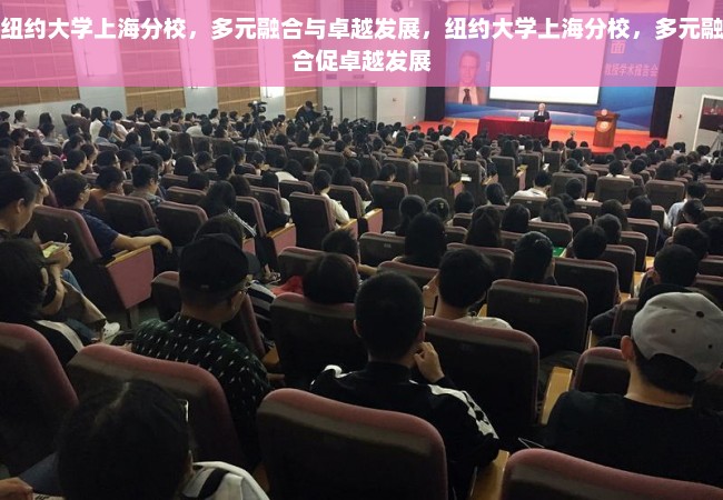 纽约大学上海分校，多元融合与卓越发展，纽约大学上海分校，多元融合促卓越发展