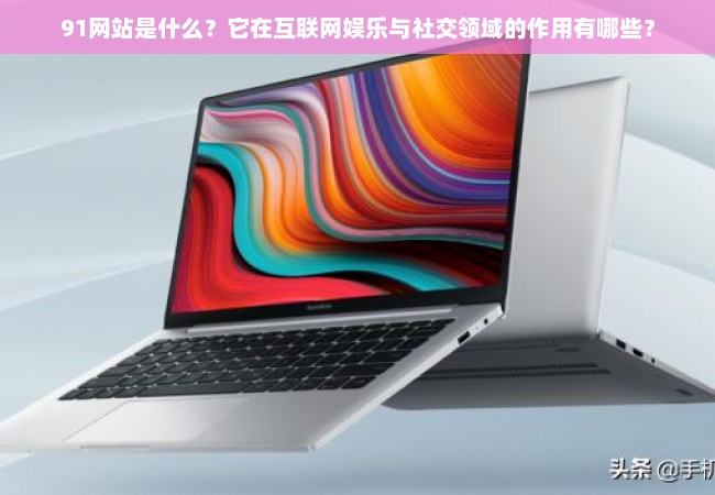 91网站是什么？它在互联网娱乐与社交领域的作用有哪些？