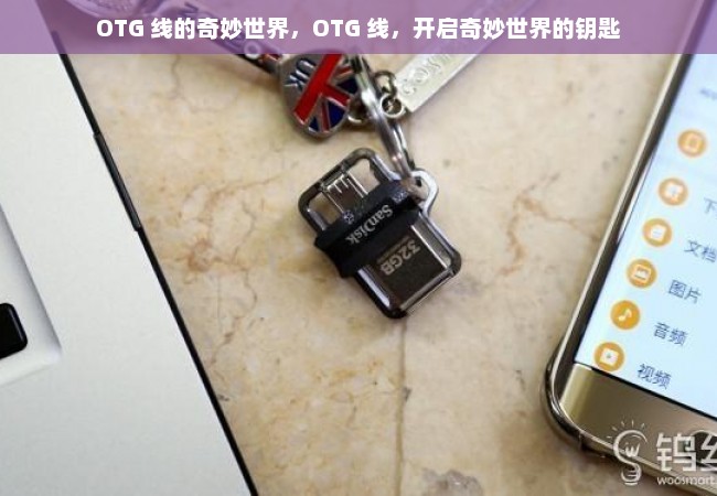 OTG 线的奇妙世界，OTG 线，开启奇妙世界的钥匙