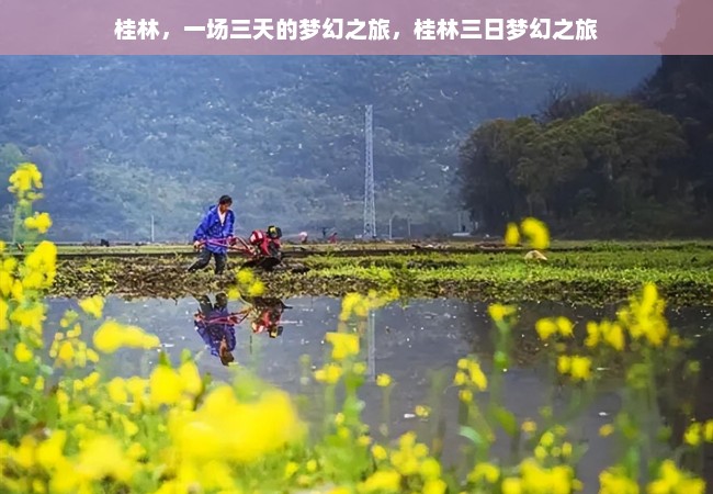 桂林，一场三天的梦幻之旅，桂林三日梦幻之旅