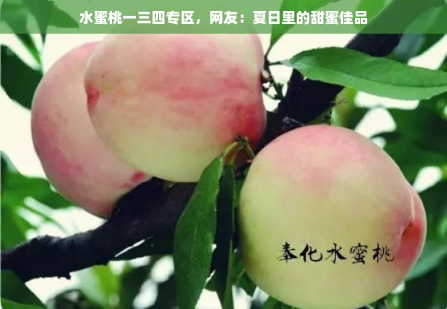 水蜜桃一三四专区，网友：夏日里的甜蜜佳品