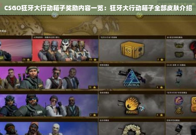 CSGO狂牙大行动箱子奖励内容一览：狂牙大行动箱子全部皮肤介绍