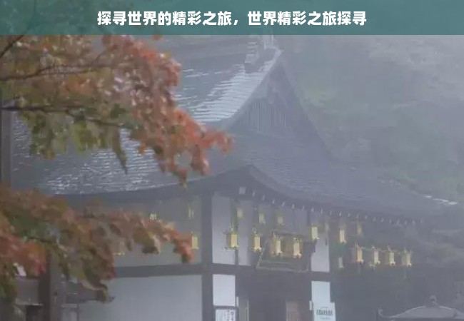 探寻世界的精彩之旅，世界精彩之旅探寻