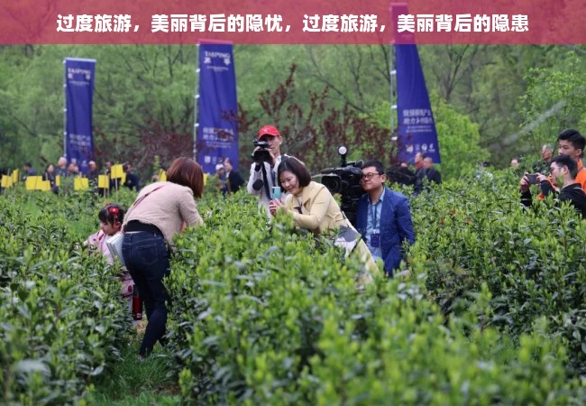 过度旅游，美丽背后的隐忧，过度旅游，美丽背后的隐患