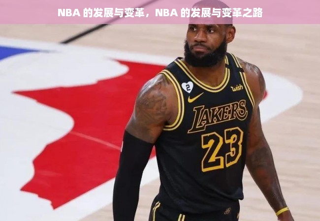 NBA 的发展与变革，NBA 的发展与变革之路