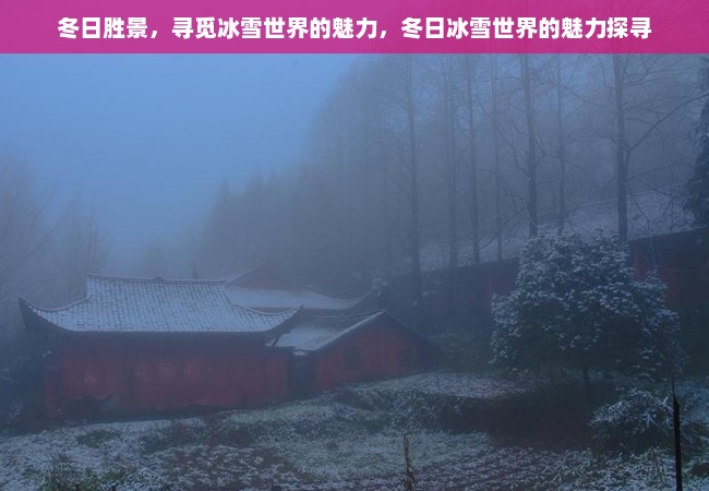 冬日胜景，寻觅冰雪世界的魅力，冬日冰雪世界的魅力探寻