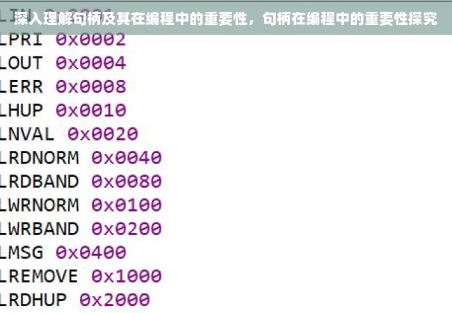 深入理解句柄及其在编程中的重要性，句柄在编程中的重要性探究