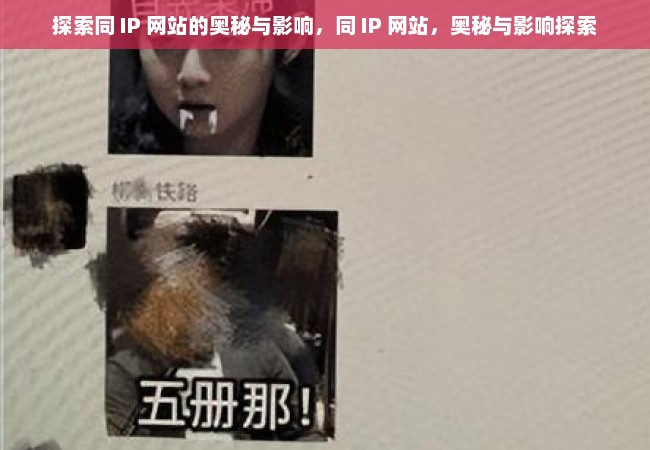 探索同 IP 网站的奥秘与影响，同 IP 网站，奥秘与影响探索