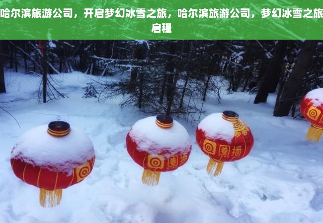 哈尔滨旅游公司，开启梦幻冰雪之旅，哈尔滨旅游公司，梦幻冰雪之旅启程