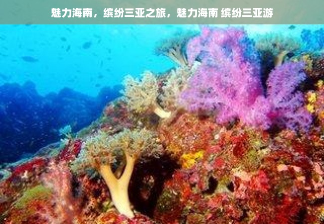 魅力海南，缤纷三亚之旅，魅力海南 缤纷三亚游