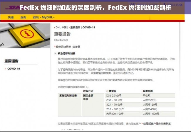 FedEx 燃油附加费的深度剖析，FedEx 燃油附加费剖析