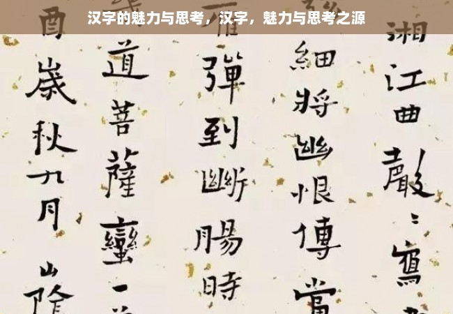 汉字的魅力与思考，汉字，魅力与思考之源