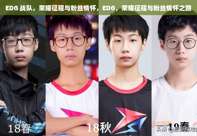 EDG 战队，荣耀征程与粉丝情怀，EDG，荣耀征程与粉丝情怀之路