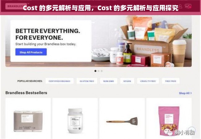 Cost 的多元解析与应用，Cost 的多元解析与应用探究