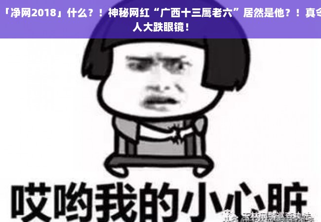 「净网2018」什么？！神秘网红“广西十三鹰老六”居然是他？！真令人大跌眼镜！